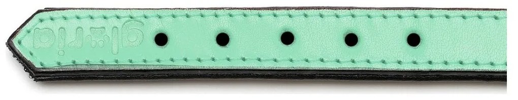 Κολλάρο Σκύλου Gloria Γεμισμένο Πράσινο (30 x 1,5 cm)