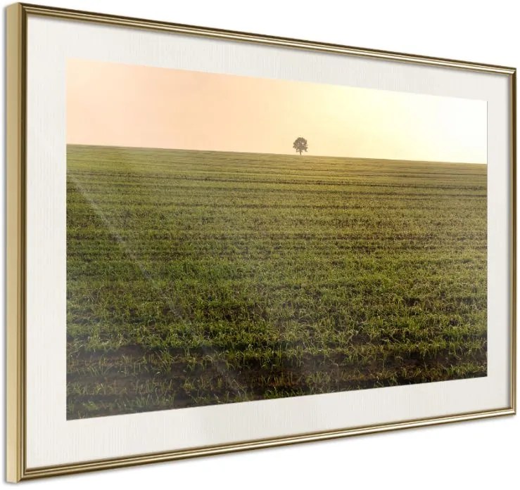 Αφίσα - Farmland - 90x60 - Χρυσό - Με πασπαρτού