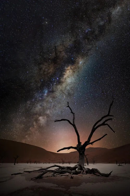 Φωτογραφία Namibia Stars, Marcel Egger