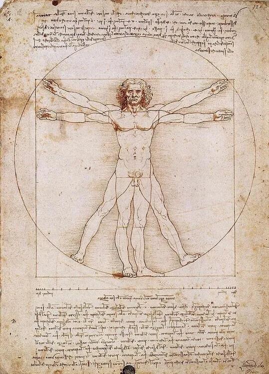 Εκτύπωση έργου τέχνης Ο Άνθρωπος του Βιτρούβιου, Leonardo Da Vinci, (50 x 70 cm)