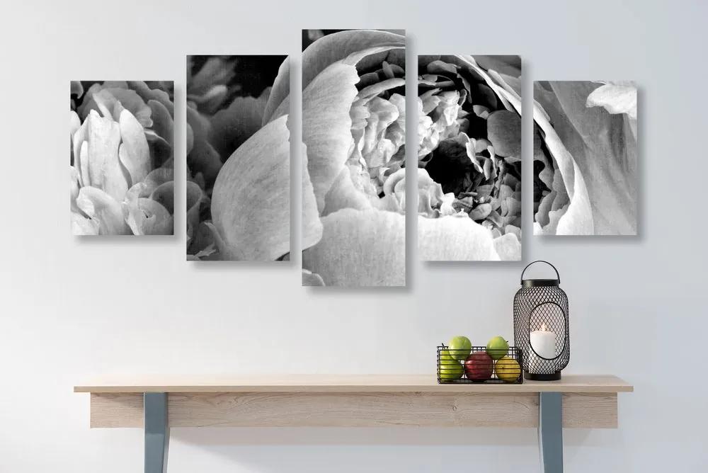 Εικόνα 5 τμημάτων ασπρόμαυρα πέταλα λουλουδιών - 100x50