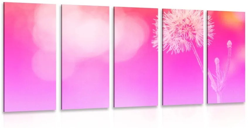 Εικόνα 5 τμημάτων Πικραλίδα σε ροζ φόντο - 100x50