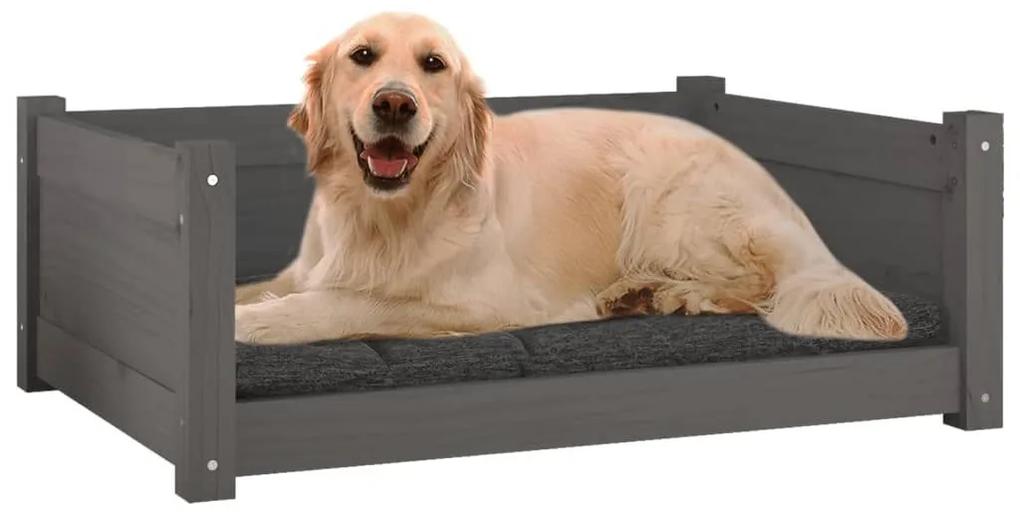 Κρεβάτι Σκύλου Γκρι 75,5x55,5x28 εκ. από Μασίφ Ξύλο Πεύκου - Γκρι