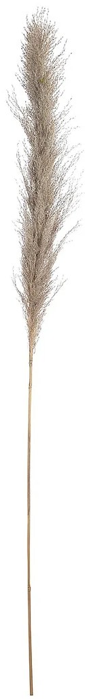Κλαδί Γρασίδι ArteLibre Τεχνητό Εκρού 150cm-05161242