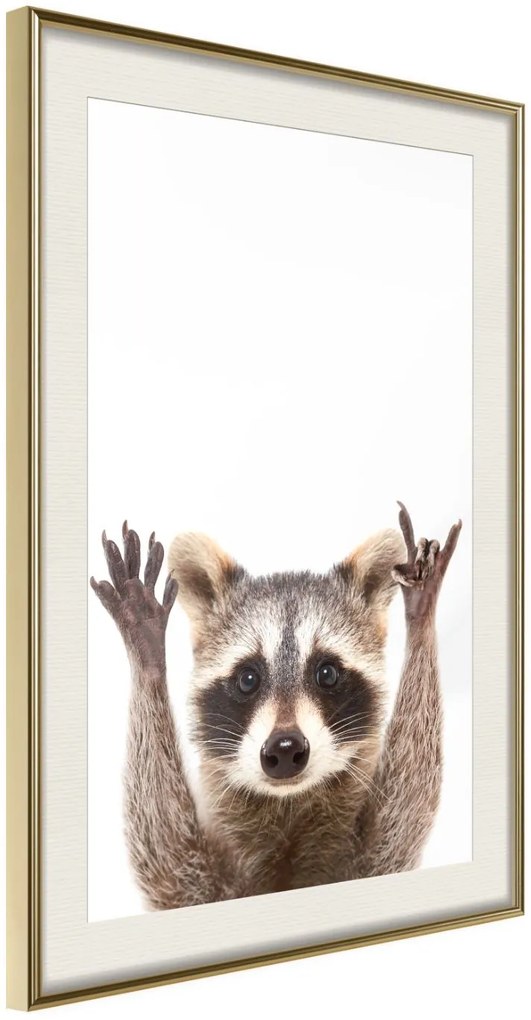 Αφίσα - Funny Racoon - 30x45 - Χρυσό - Με πασπαρτού