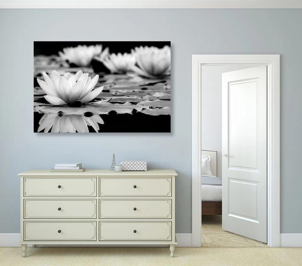 Εικόνα λουλούδι λωτού σε ασπρόμαυρο σχέδιο