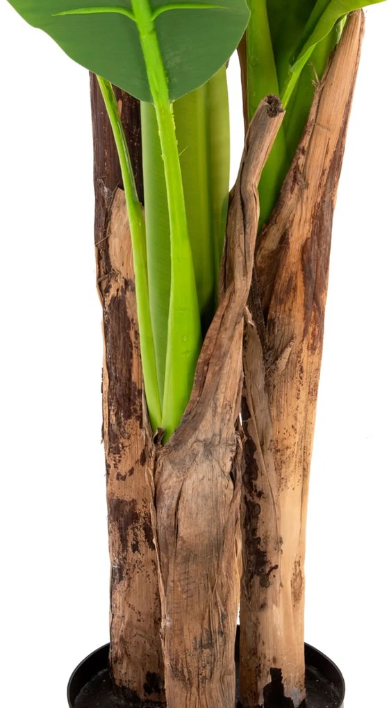 ΔΙΑΚΟΣΜΗΤΙΚΟ ΣΥΝΘΕΤΙΚΟ ΦΥΤΟ HM7977 ΔΕΝΤΡΟ ΜΠΑΝΑΝΑΣ ΣΕ ΓΛΑΣΤΡΑ 150Υεκ. (1 Τεμμάχια)