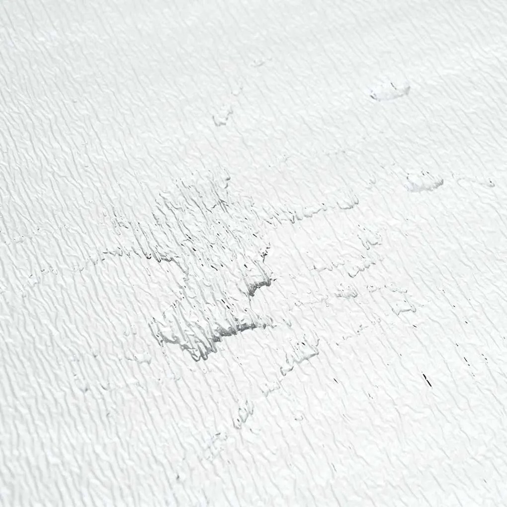 vidaXL Ανακλαστήρας θερμότητας καλοριφέρ Ασημί 25 x 1 m Πολυαιθυλένιο