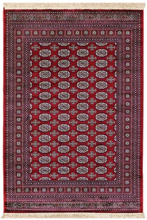 ΧΑΛΙ SONIA 248/301220 - 200X300  NewPlan