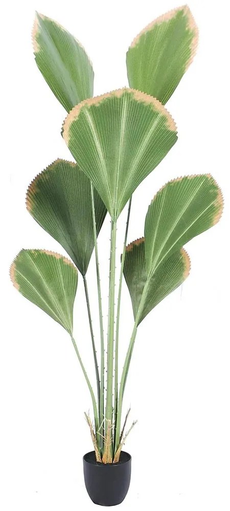 Τεχνητό Δέντρο Λικουάλα 8701-6 160cm Green Supergreens Plastic