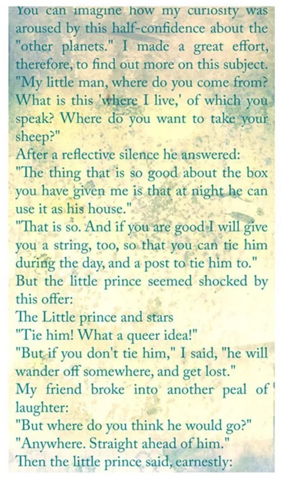 Φωτοταπετσαρία - The Little Prince - Tales Of Life 50x1000