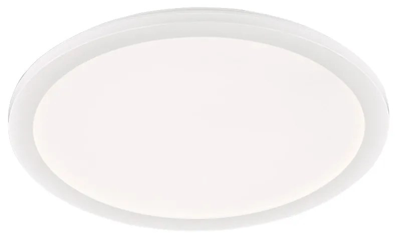 Φωτιστικό Οροφής Στεγανό RL Lighting Camillus R62922401 Λευκό