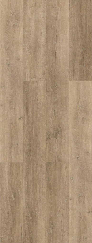 FORTIKA SPC ΒΙΝΥΛΙΚH ΛΩΡΙΔΑ 5mm BONEGA 1304 NewPlan