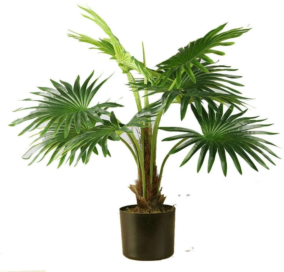 Τεχνητό Φυτό Πιτσάρδια 3350-6 50x50x65cm Green Supergreens Polyethylene
