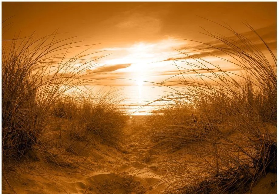 Αυτοκόλλητη φωτοταπετσαρία - beach (sepia) - 245x175