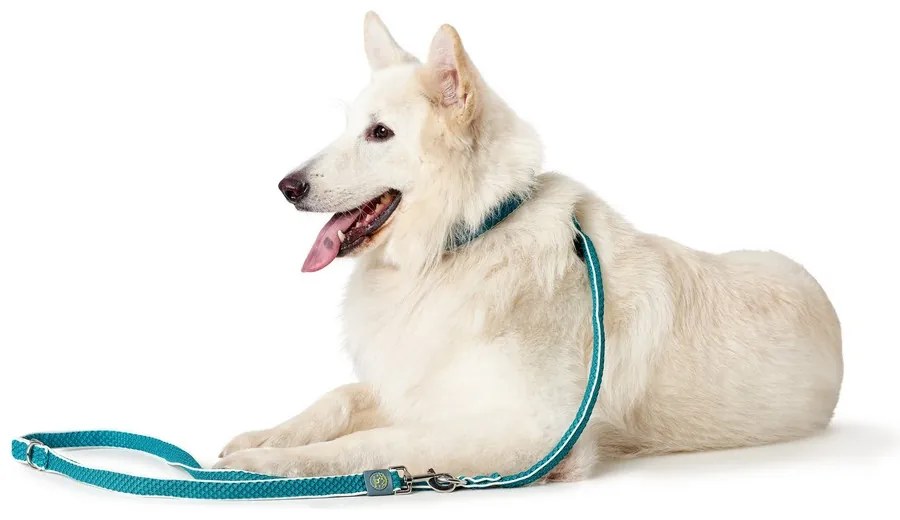 Λουρί Σκύλου Hunter HILO Τυρκουάζ 200 cm