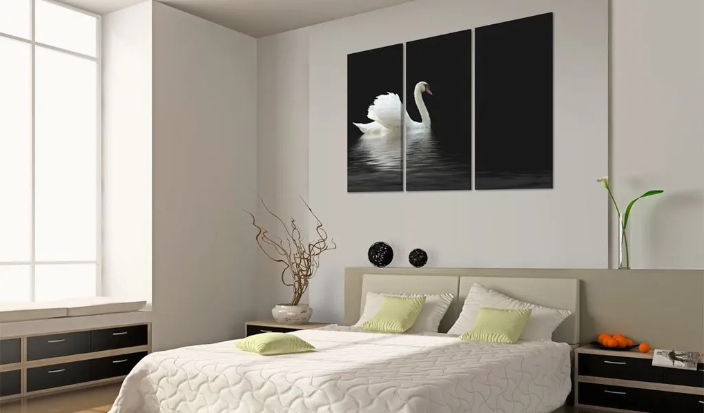 Πίνακας - A lonely white swan - 60x40