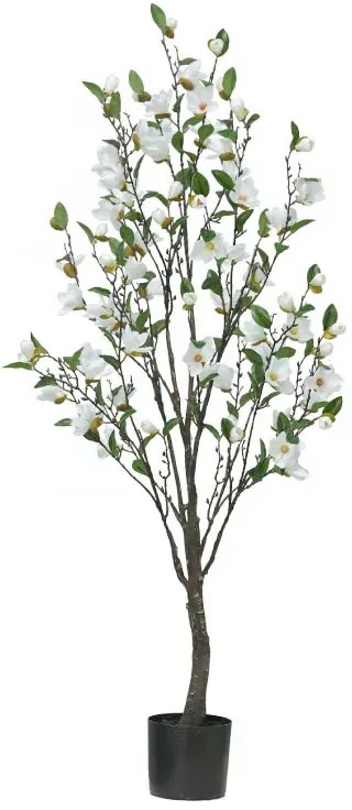MarHome ΔΕΝΤΡΟ ΛΕΥΚΟ ΜΑΝΩΛΙΑ ΣΕ ΓΛΑΣΤΡΑ Υ140cm 2/ΚΙΒ 04-22052
