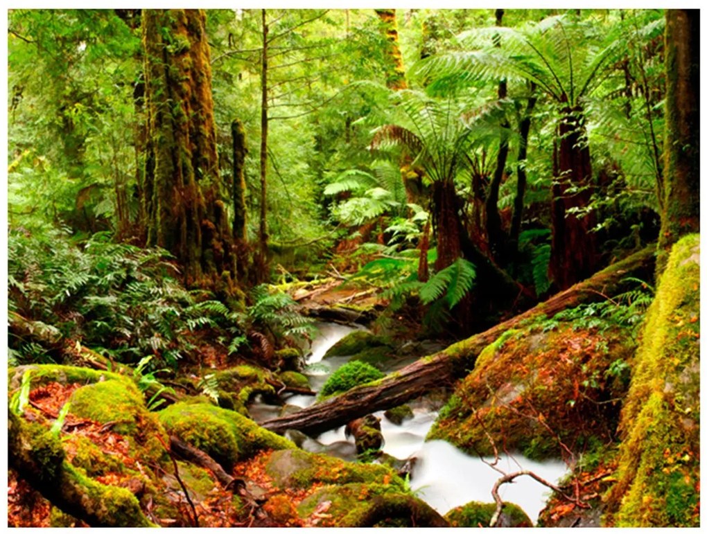 Φωτοταπετσαρία - Rainforest 300x231