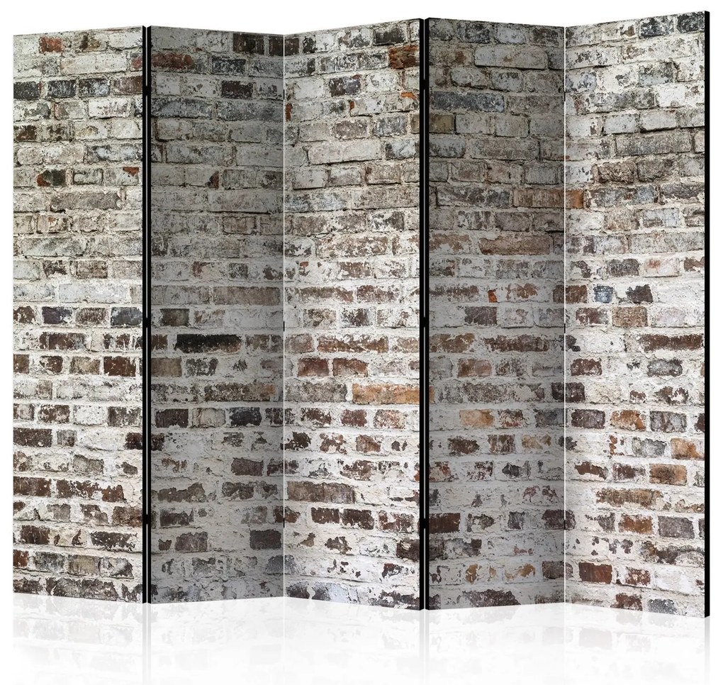 Διαχωριστικό με 5 τμήματα - Old Walls II [Room Dividers] 225x172