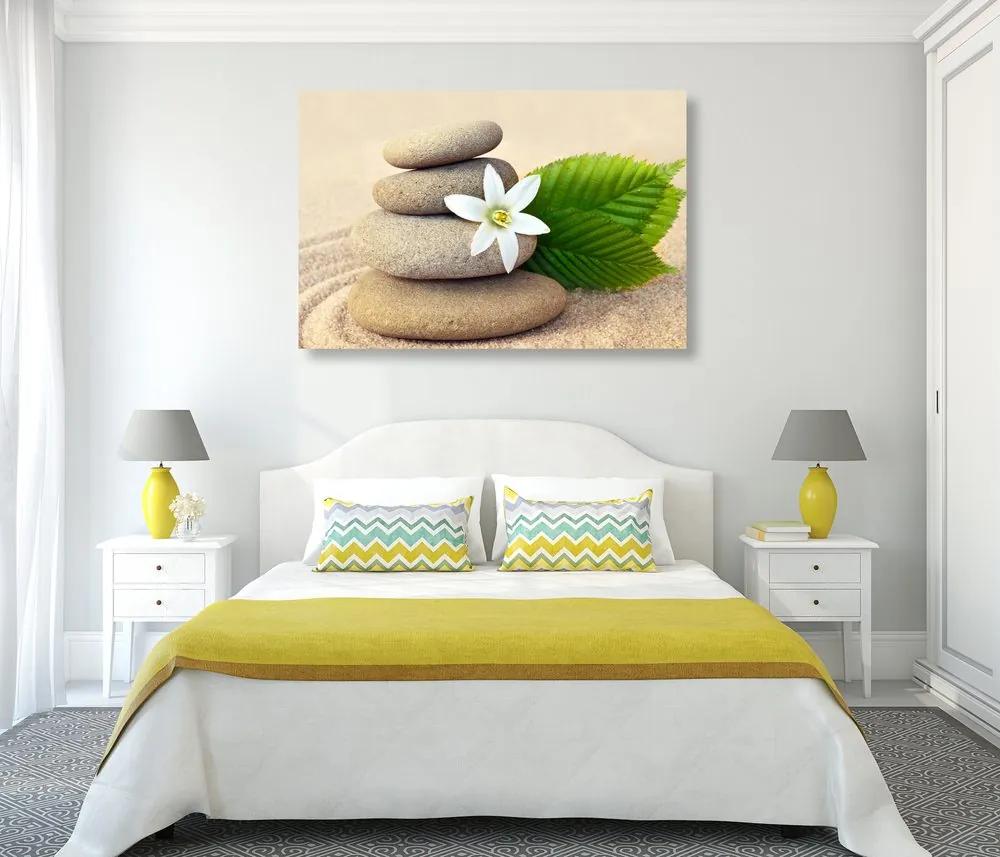 Εικόνα λευκό λουλούδι και πέτρες στην άμμο - 120x80