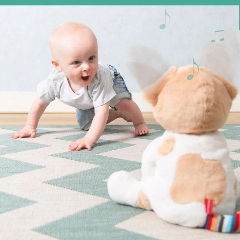 DANNY Σκυλάκι ZAZU με Κουνιστά Αυτάκια Μουσική Peek a Boo Δραστηριοτήτων