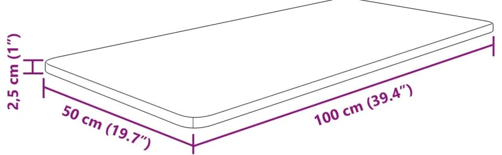 vidaXL Πάγκος Μπάνιου 100 x 50 x 2,5 εκ. Ακατέργαστο Μασίφ Ξύλο