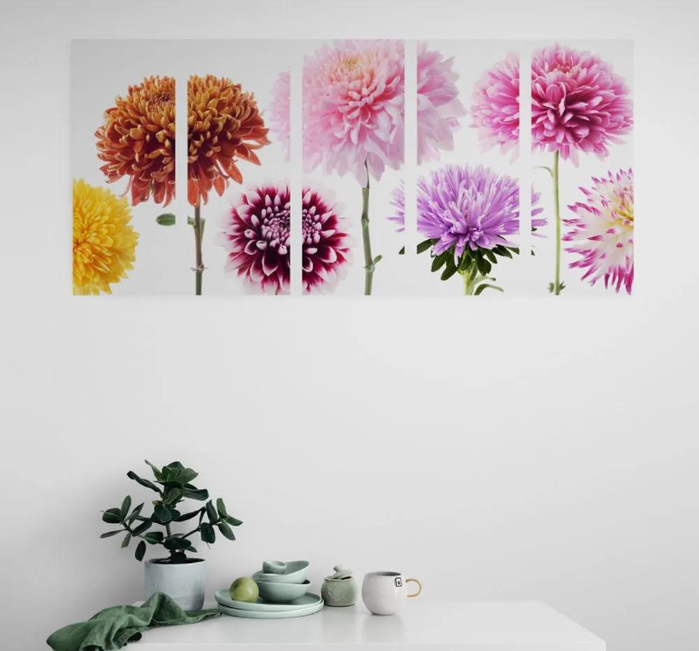 Εικόνα 5 τμημάτων λουλούδια ντάλια σε διάφορα σχέδια - 200x100