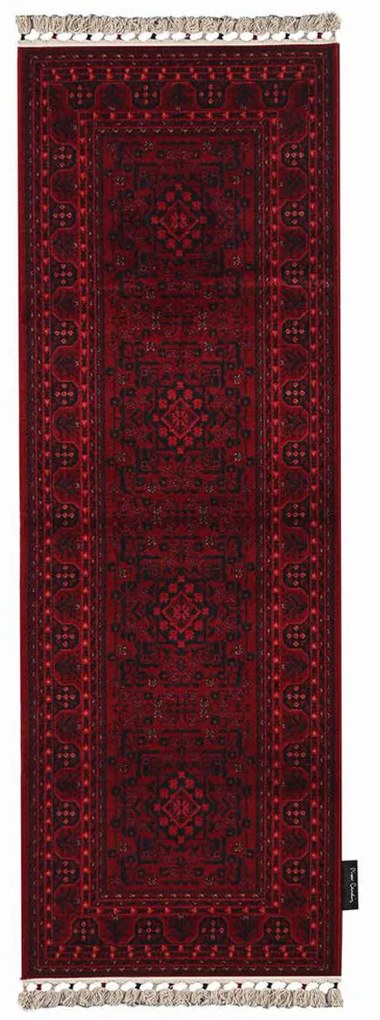 Χαλί Διαδρόμου (67x195) Pierre Cardin Vienna HY10 Bordo