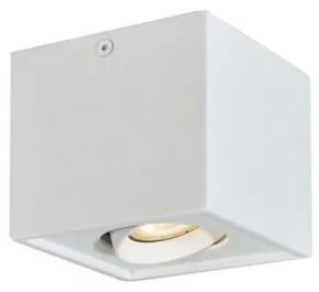 Σποτ Φωτιστικό Οροφής Λευκό Arion 4260900 Viokef 4260900 Λευκό