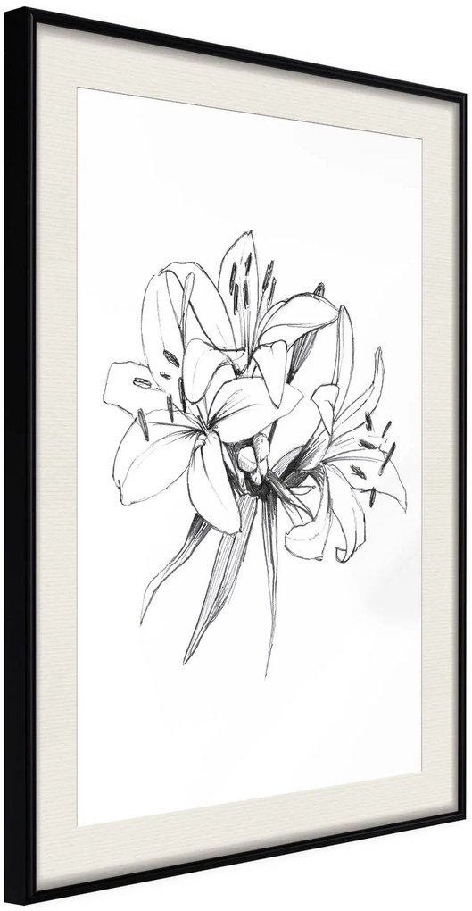 Αφίσα - Sketch of Lillies - 20x30 - Μαύρο - Με πασπαρτού