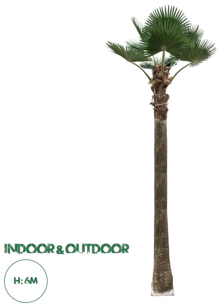 21057 GloboStar® Artificial Garden PLANT PALM TREE 21057 Διακοσμητικό Δέντρο Φοίνικα Φ240 x Υ600cm
