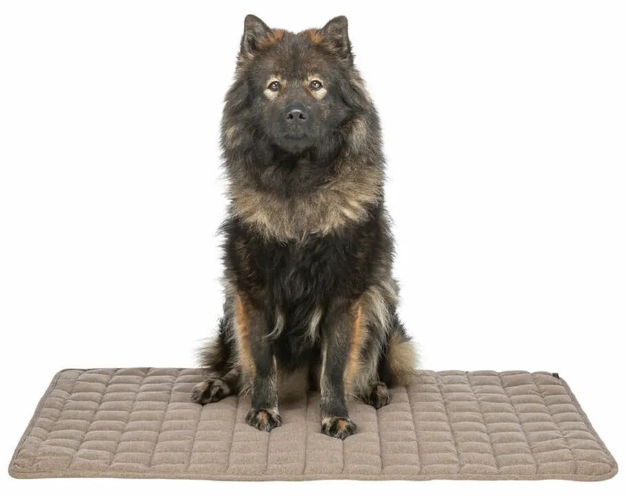 Mat Trixie Καφέ 100 × 70 CM Σκύλος