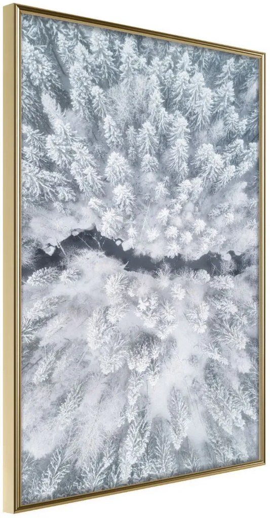 Αφίσα - Winter Forest From a Bird's Eye View - 40x60 - Χρυσό - Χωρίς πασπαρτού