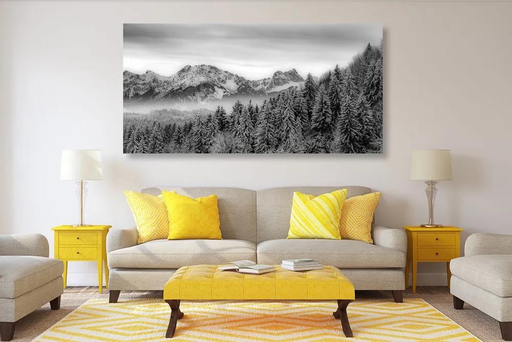Εικόνα παγωμένων βουνών σε μαύρο & άσπρο - 100x50