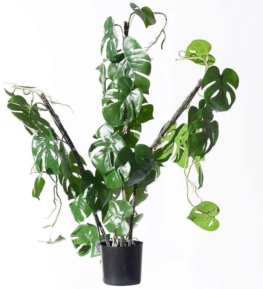 Τεχνητό Φυτό Μονστέρα Minima Vining 6161-7 30x75cm Green Supergreens Polyethylene