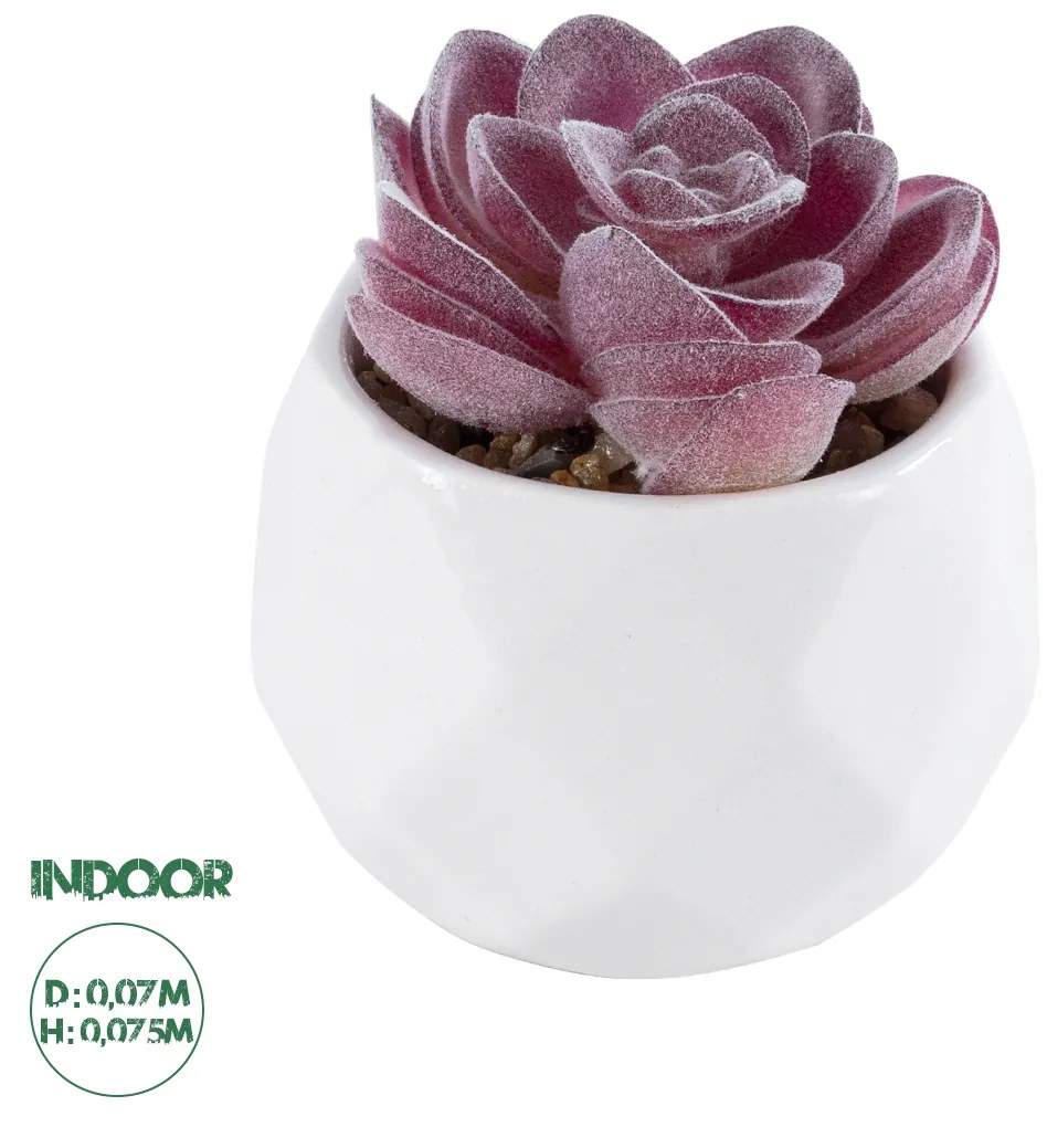 GloboStar® Artificial Garden SUCCULENT ECHEVERIA 21000 Διακοσμητικό Φυτό Παχύφυτο Εχεβέρια Υ7.5cm