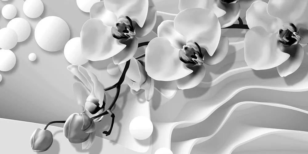 Εικόνα ασπρόμαυρης ορχιδέας σε αφηρημένο φόντο - 100x50
