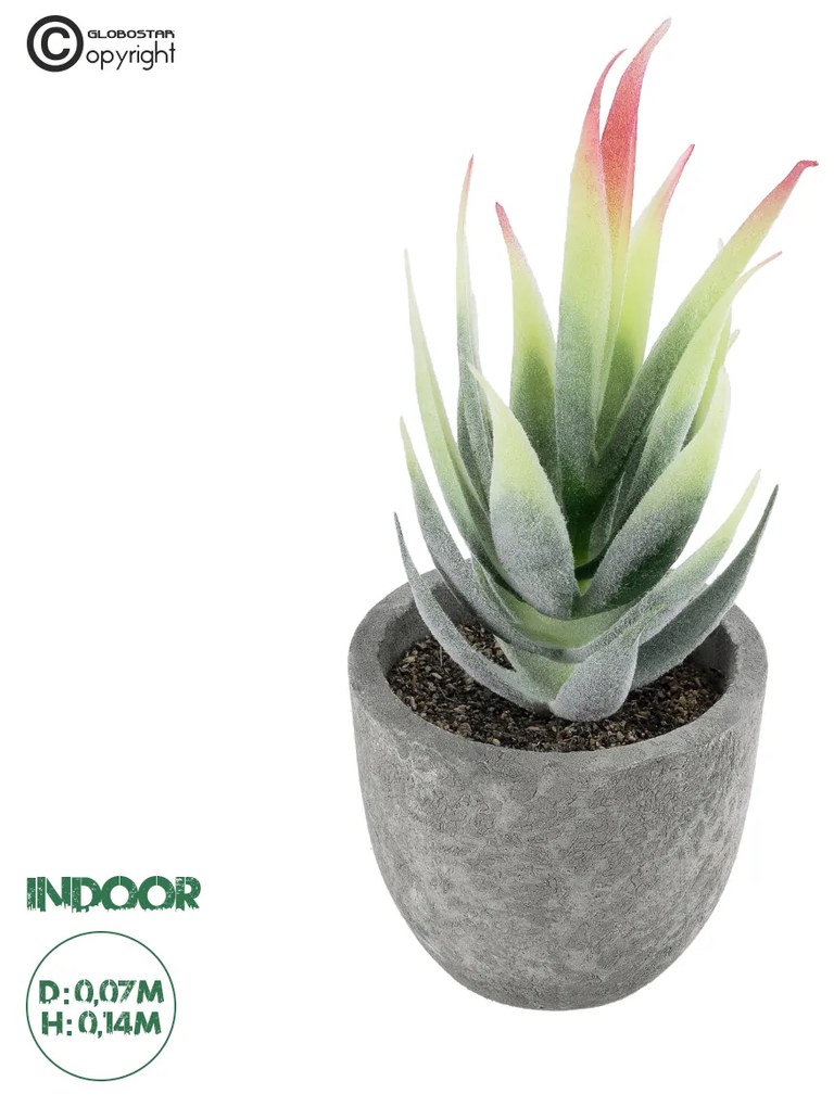 Artificial Garden SUCCULENT ALOE 21009 Διακοσμητικό Φυτό Παχύφυτο Αλόη Υ14cm