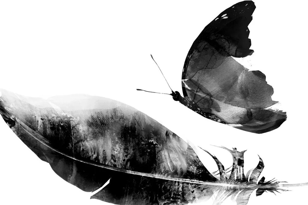 Φτερό εικόνας με πεταλούδα σε ασπρόμαυρο σχέδιο - 60x40