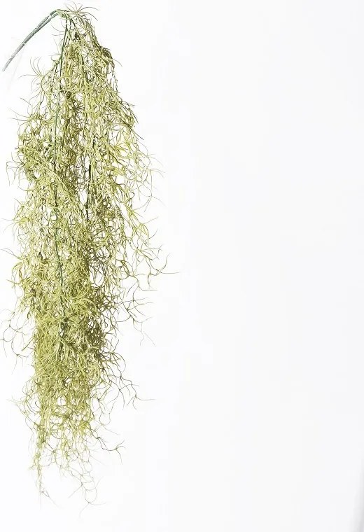 Supergreens Τεχνητή Κρεμαστή Φτέρη Bracken Πράσινη Ανοιχτή 90 εκ