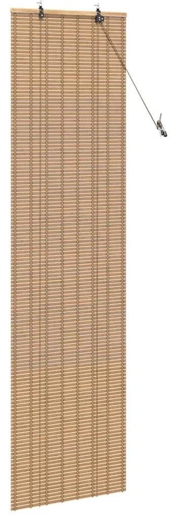 vidaXL Ρόλερ και Σκιάδια Ανοιχτό καφέ 60 x 160 εκ. Μπαμπού