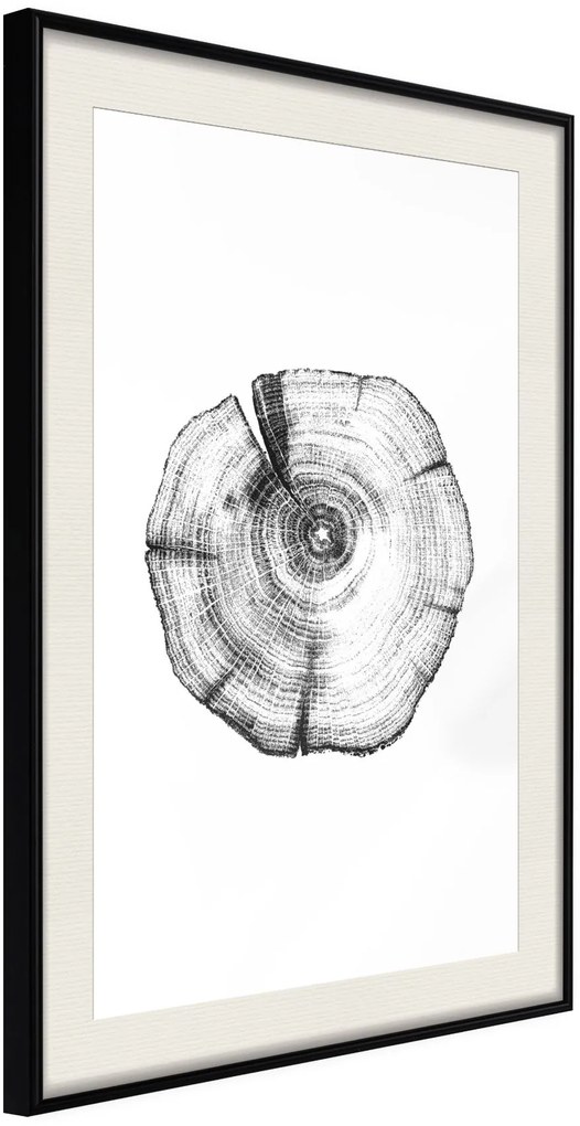 Αφίσα - Tree Rings - 20x30 - Μαύρο - Με πασπαρτού