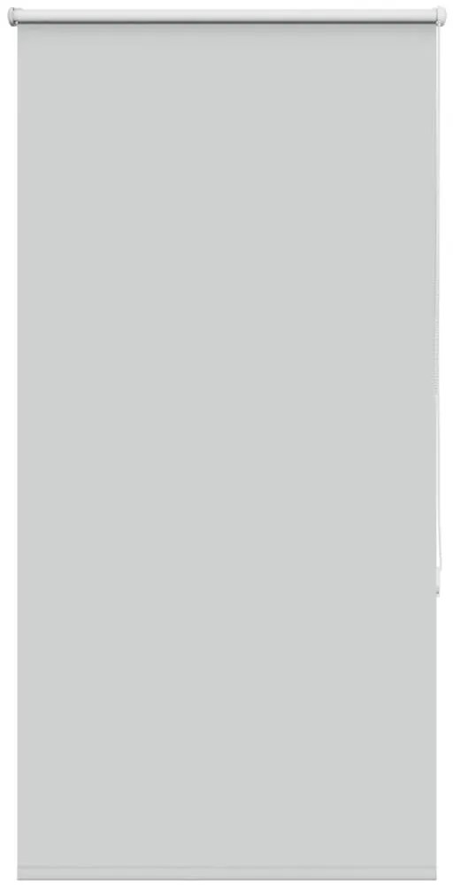 vidaXL Ρολέρ Μπλακάουτ ανοιχτό γκρι 75x150 cm Πλάτος υφάσματος 70,7cm