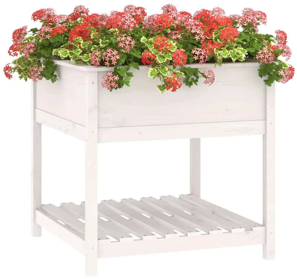 vidaXL Ζαρντινιέρα με Ράφι Λευκή 82,5x82,5x81 εκ. Μασίφ Ξύλο Πεύκου