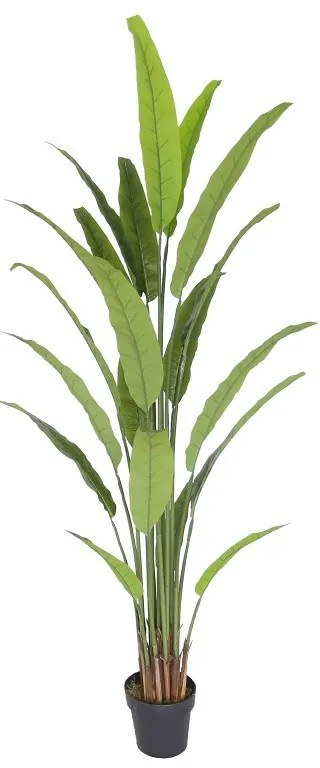Supergreens Τεχνητό Δέντρο Πουλί του Παραδείσου Strelizia Nicolai Πράσινο 190 εκ.