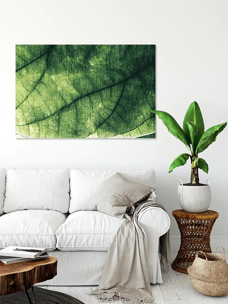 Πίνακας σε καμβά Πράσινο φύλλο KNV1664 30cm x 40cm