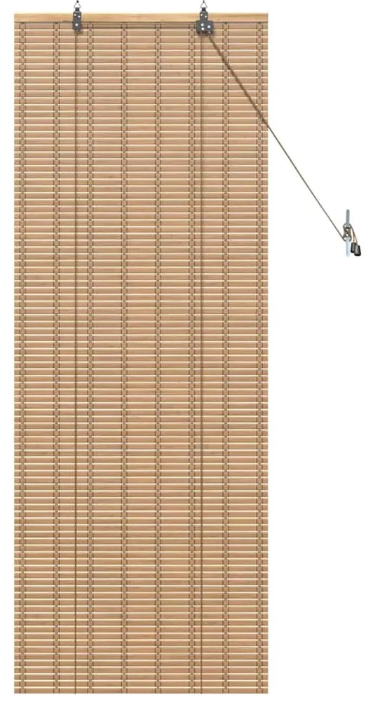 vidaXL Ρόλερ και Σκιάδια Ανοιχτό καφέ 60 x 160 εκ. Μπαμπού