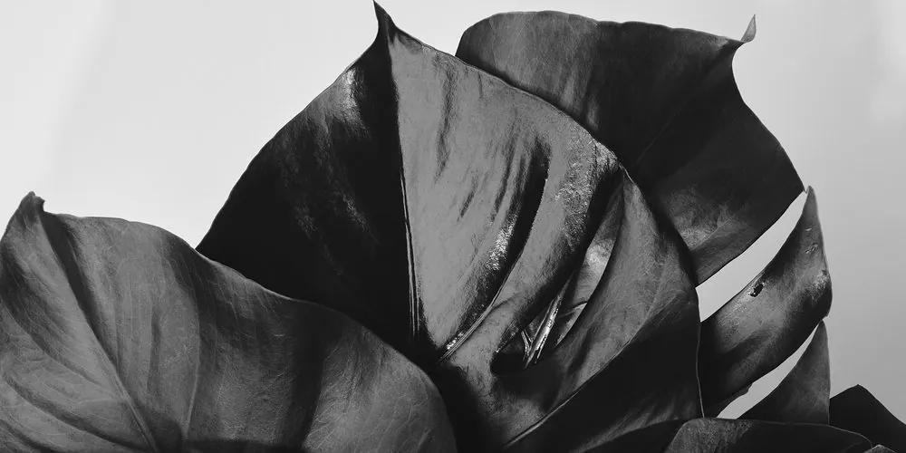 Εικόνα ασπρόμαυρο τέρας με φύλλα - 120x60