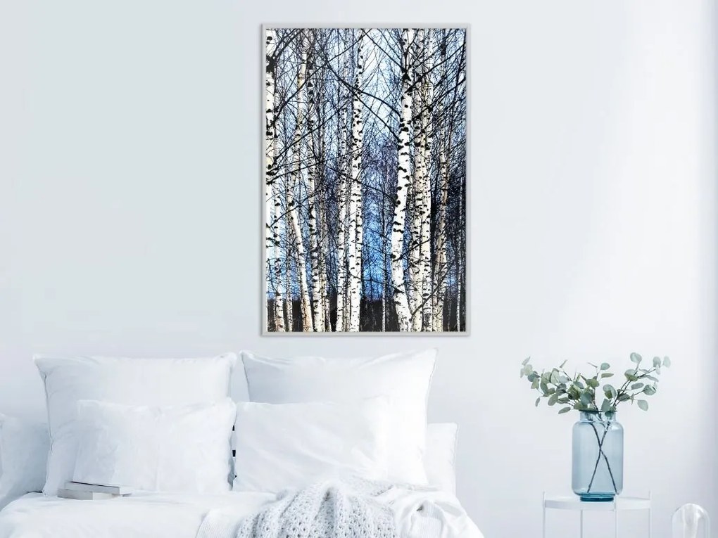 Αφίσα - Winter Birch Trees - 20x30 - Χρυσό - Χωρίς πασπαρτού